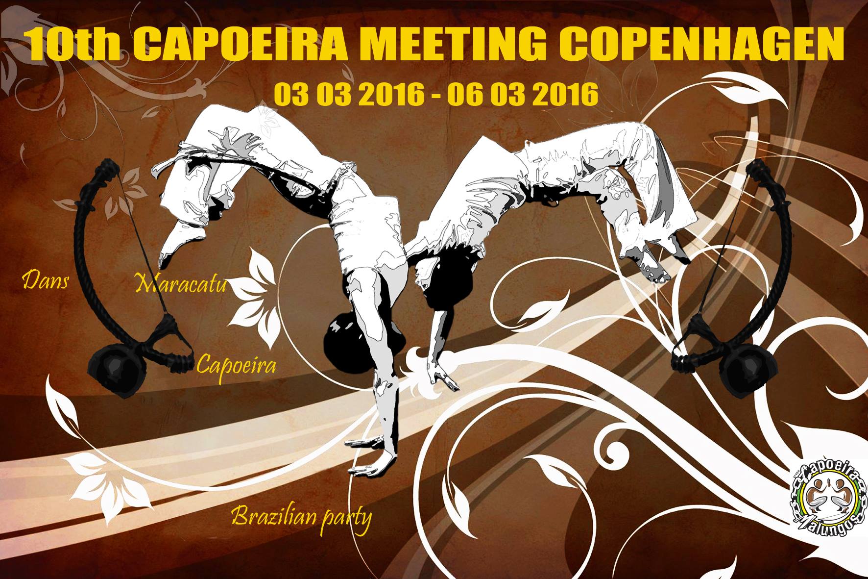 10th capoeira meeting